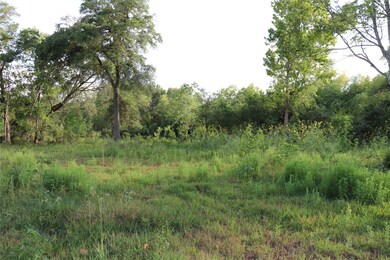 0 Massey Ranch Rd, Manvel, TX 77578 - photo 6