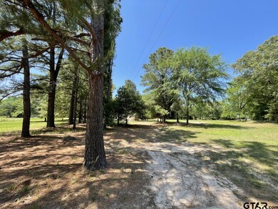 15601 Wood Ln, Tyler, TX 75707 - photo 2