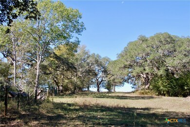 TBD US 90, Schulenburg, TX 78956 - photo 5