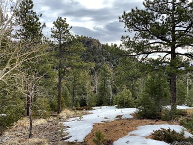 View of Sunrise Peak!