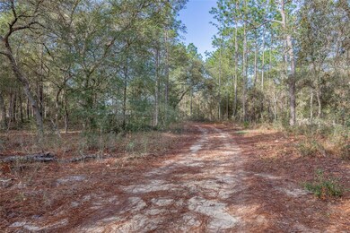 2974 SW 171st Ct, Dunnellon, FL 34432 - photo 5