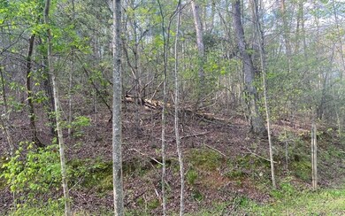 Additional View
