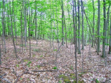 Softwoods
