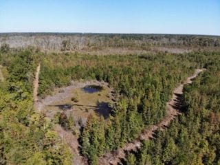 Tbd Broxton Bridge Rd, Bamberg, SC 29003 - photo 6