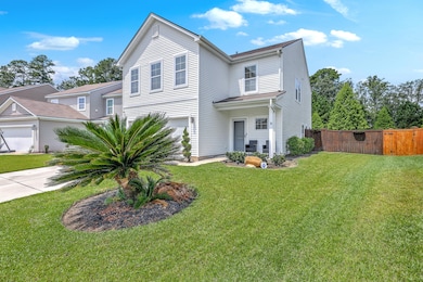 ZYN_0219_20_21_22_23_24_25