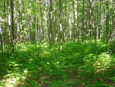 15 Taylor Ln, Whitingham, VT 05361 - photo 3