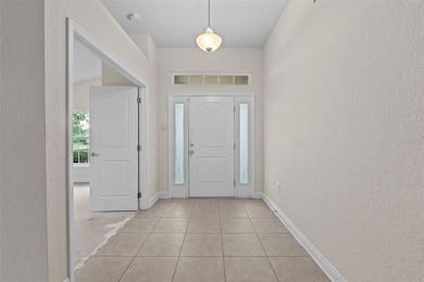 3 Diamond Cove Ct, Ocala, FL 34472 - photo 4