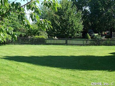 Yard/Garden