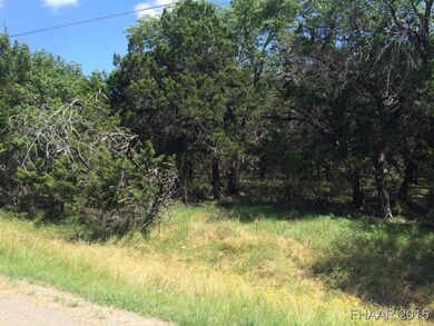 4996 Comanche Dr, Temple, TX 76502 - photo 5