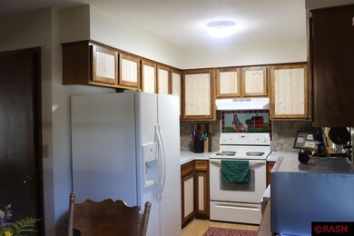 1011 12th St N, New Ulm, MN 56073 - photo 5