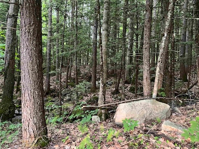 169 Newman Drew Rd, Ossipee, NH 03890 - photo 6