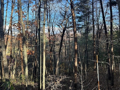 Mountains Through the Trees