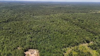 Shady Grove Road Lot unit Wp001, Saline, LA 71070 - photo 3