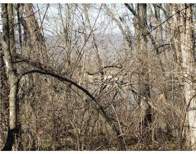 139 McGee Rd, West Fork, AR 72774 - photo 7