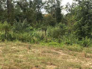 Tbd US Highway 278, Barnwell, SC 29812 - photo 4