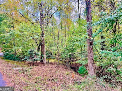 574 Satsuma Ct, Ellijay, GA 30540 - photo 2