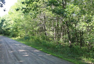 Lot #2 West St, Jefferson, ME 04348 - photo 3