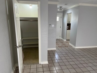 large closet under stairs in living room area.