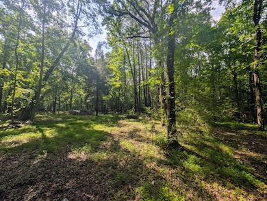 PXL_20250529_141521758