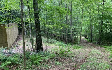 Additional View