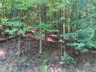 Lt 914 Villa Dr, Ellijay, GA 30540 - photo 5