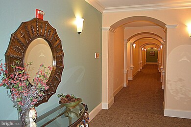 Park Place unit 203, Frederick, MD 21701 - photo 4