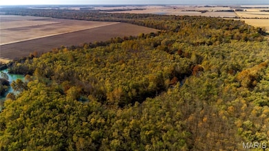 TBD State Route N, Qulin, MO 63961 - photo 3