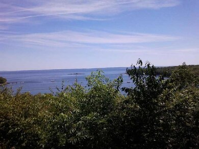 View. View from Deck