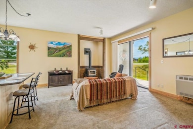 37 Valley View Dr unit 3136, Pagosa Springs, CO 81147 - photo 2