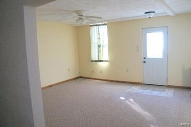 8 S Monroe St, Freeburg, IL 62243 - photo 2