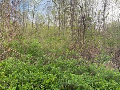 Lot 36 Oneill Rd, Warren, MA 01083 - photo 4