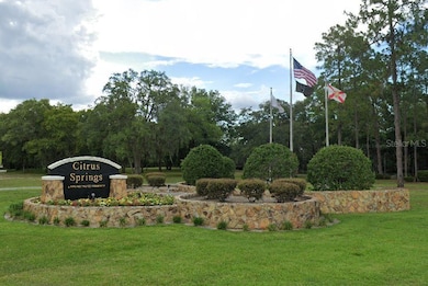 8059 N Creek Way, Citrus Springs, FL 34434 - photo 6