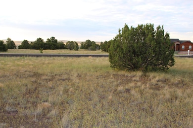 Elk Crest Lot 12 (5)