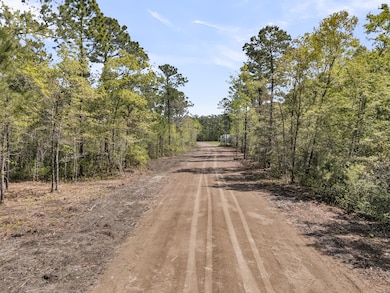 5554 Giddyup Ln, Awendaw, SC 29429 - photo 6