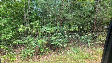 00 Union Grove Rd Lot 2 & 3 Photo 6