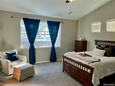 12084 S Great Plain Ct, Parker, CO 80134 - photo 5