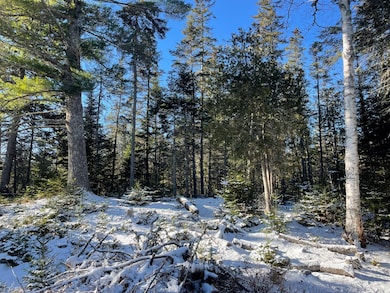 0 Juniper Ledge Rd unit 1646699, Bar Harbor, ME 04609 - photo 3