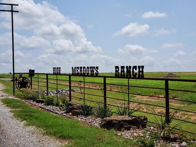 2008 Swallowtail Ct, Poolville, TX 76487 - photo 5