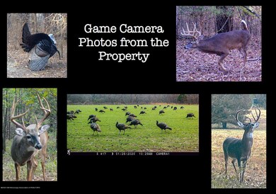 game cam mrd