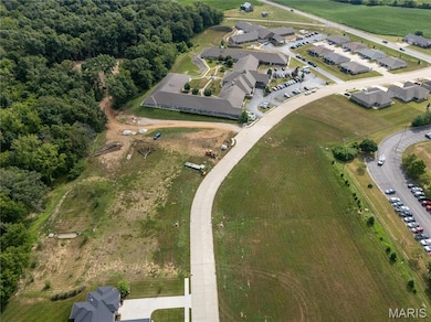 553 Legacy Dr, Waterloo, IL 62298 - photo 3