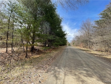 0 Austin Rd unit S1618955, Altmar, NY 13302 - photo 5