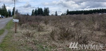 906 NW Rhoton Rd, Yelm, WA 98597 - photo 3