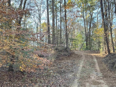 TBD (W. 180 Ac) Tunica Trace, St. Francisville, LA 70775 - photo 3