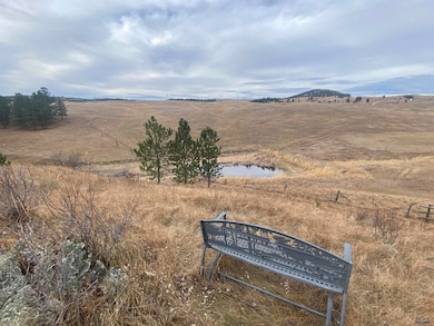 Lots 6 & 7 Mineral Ln unit TBD Mineral Lane, Hill City, SD 57747 - photo 5