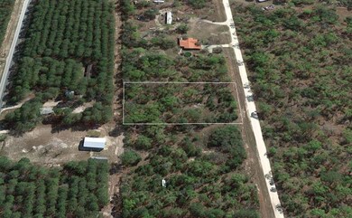 0 Royal Oak Dr unit 319399, Perry, FL 32348 - photo 2