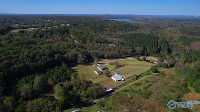 357 Cabbage Patch Rd, Valhermoso Springs, AL 35775 - photo 3