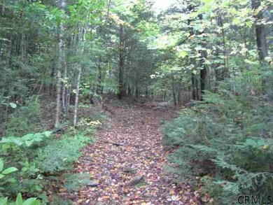 57 Horse Hill Rd, Hadley, NY 12835 - photo 3