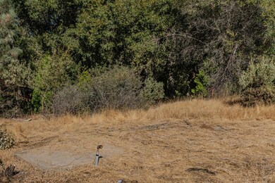 18871 Ponderosa Annex Rd, Sutter Creek, CA 95685 - photo 7