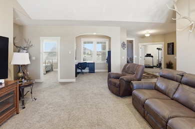 Carpeted living area with baseboards and arched walkways
