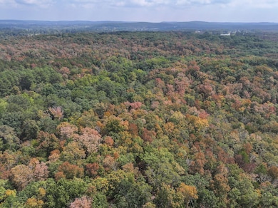 Off Hwy Dd unit Lot WP001, Farmington, MO 63640 - photo 3